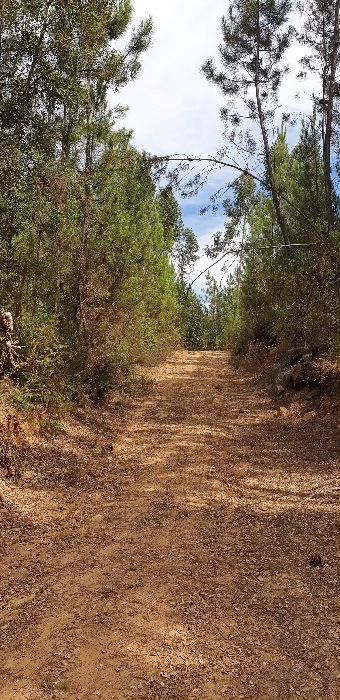 Terreno com 2100 m2 em Sertã, Pedrógão Pequeno, Aldeia do Painho