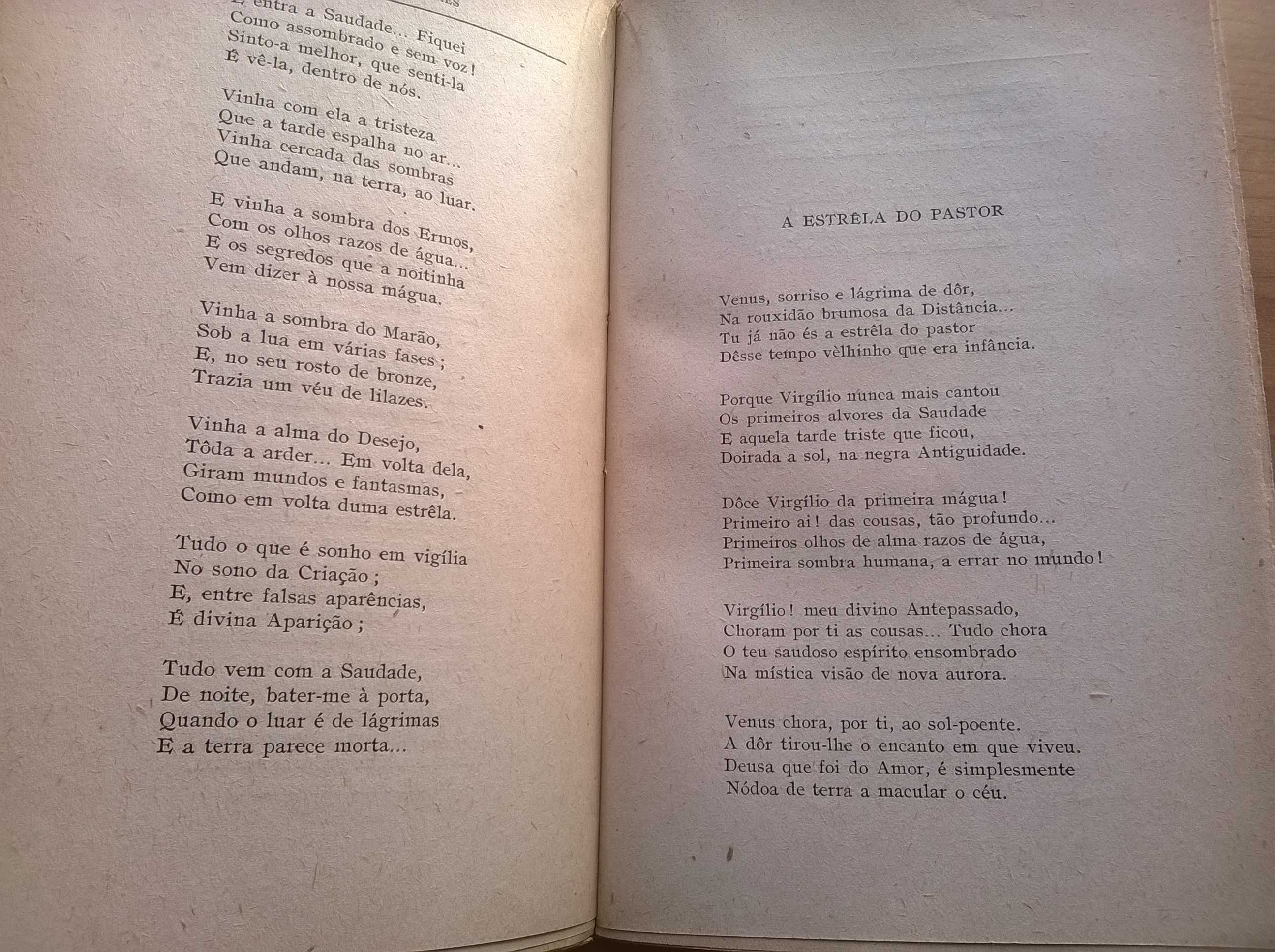 SEMPRE - Terra Prohibida - Teixeira de Pascoaes