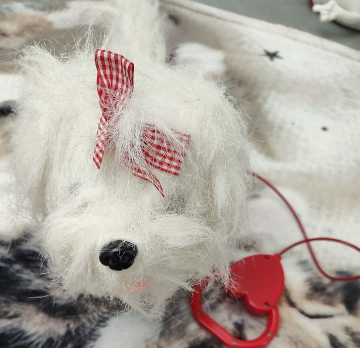 Kudłaty piesek na smyczy