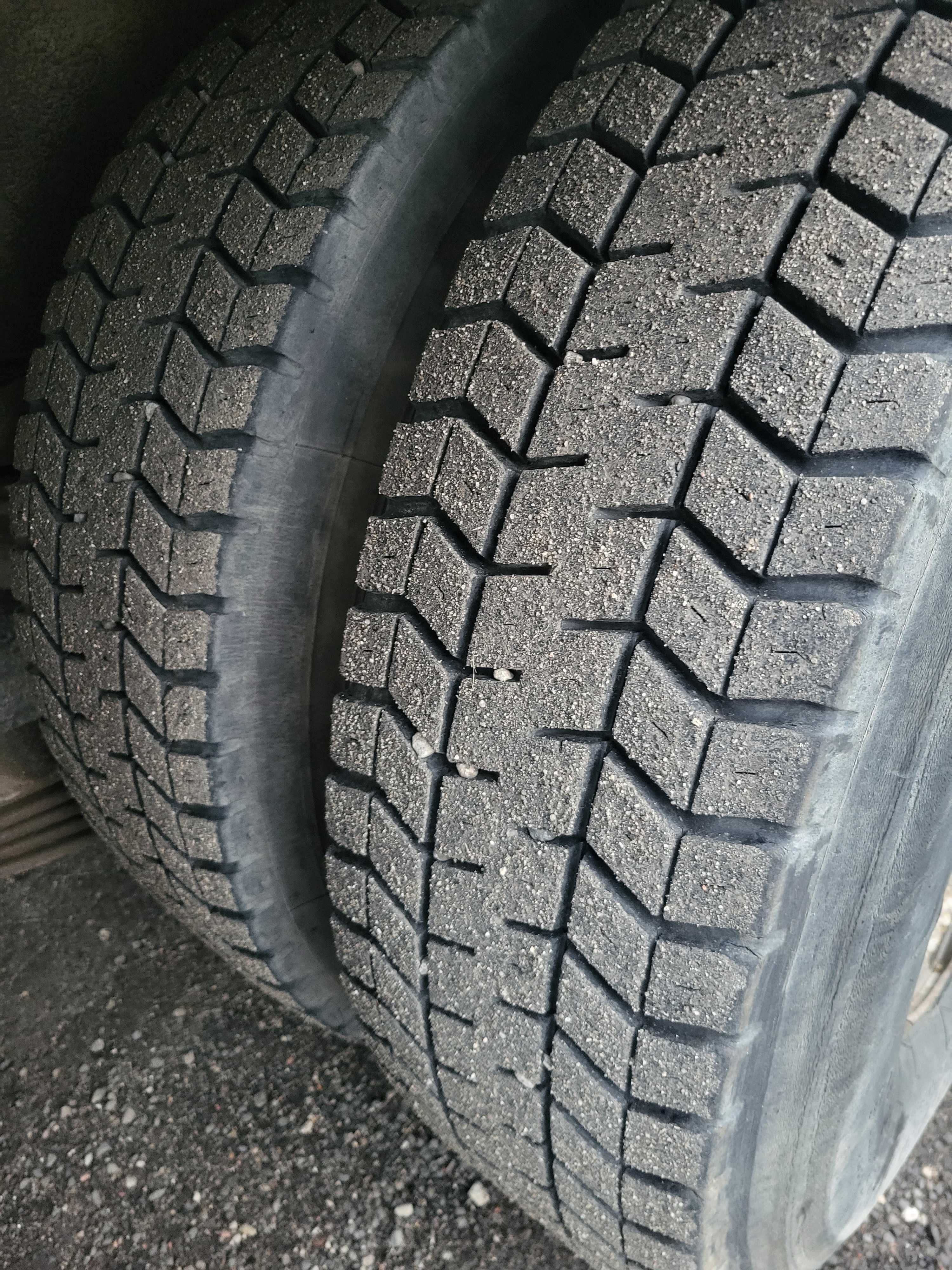 Volvo FM do żywca zwierząt