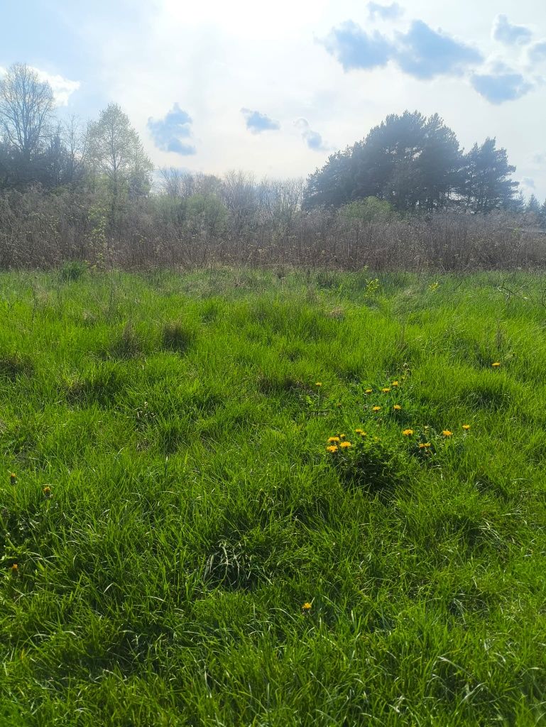 Koszenie traw, zarośli, nieużytków