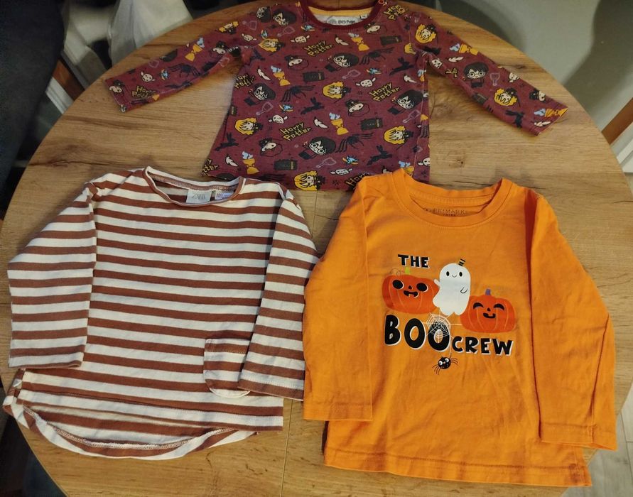 Zestaw 23 ubranek chłopięcych 86