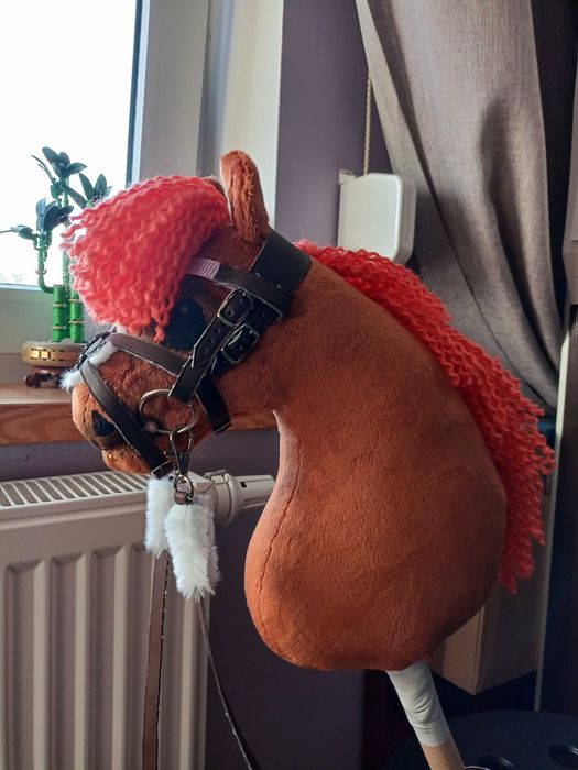 Hobby horse Rdn kasztanowaty