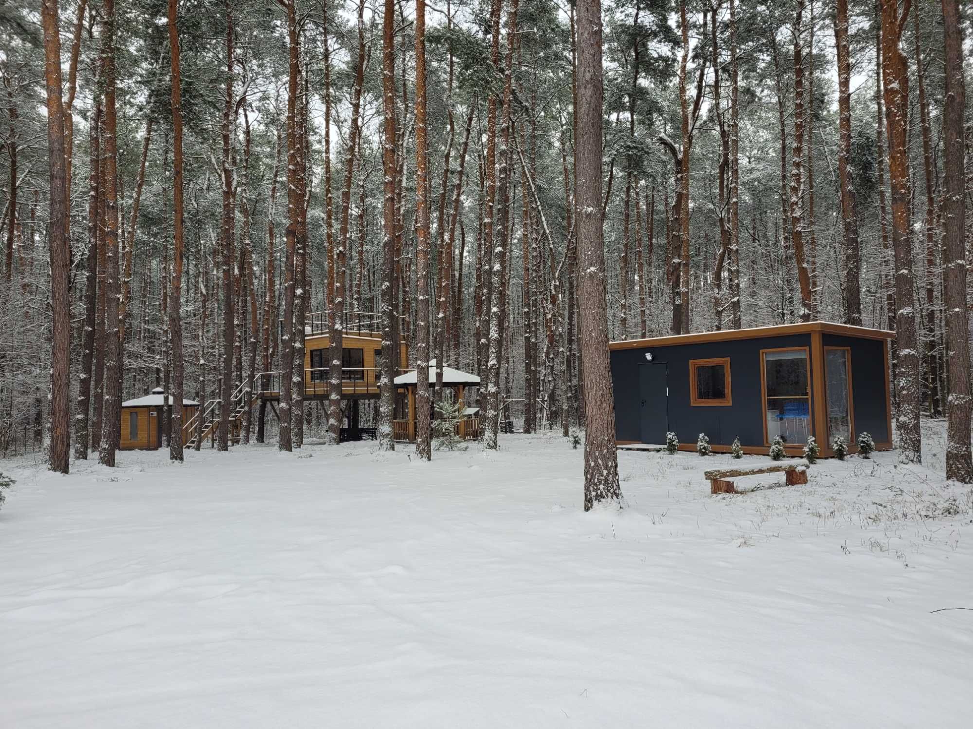 Domek na drzewie II blisko Suntago 30 min od Warszawy