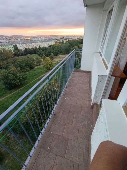 Pokój do wynajęcia