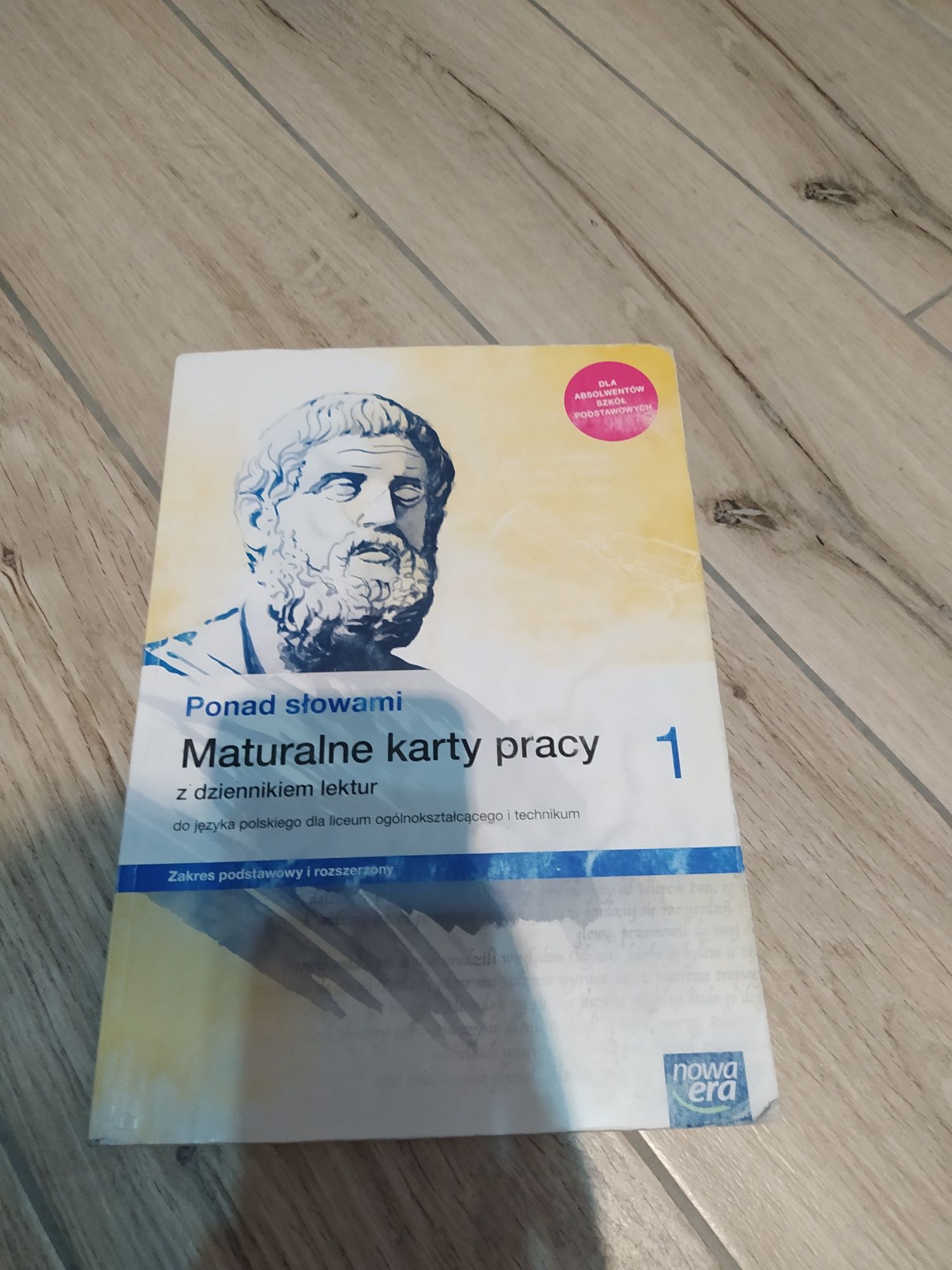 Maturalne kary pracy j. polski