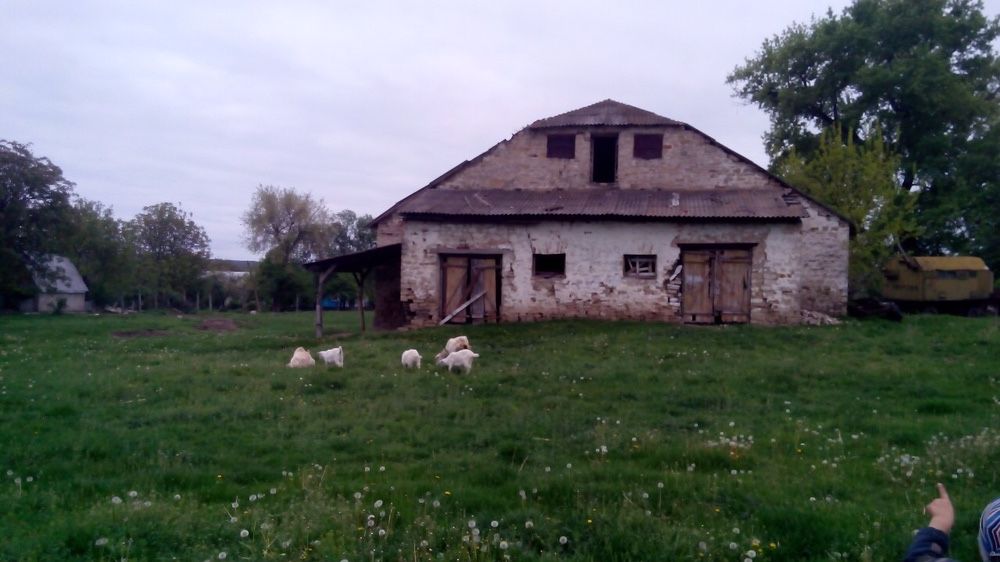 Приміщення з прилеглими до нього земельними ділянками