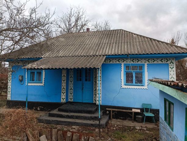 Будинок в селі біля Дністра