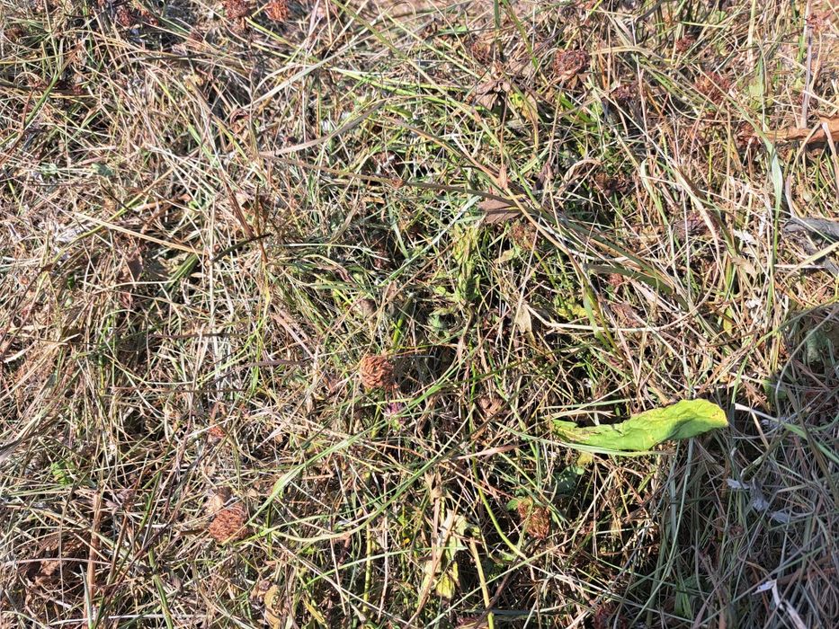 Sianokiszonka w belach 120/cena z transportem