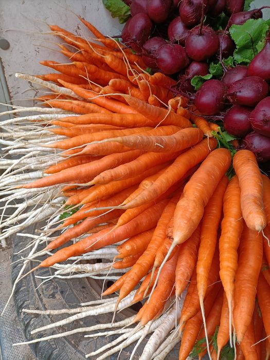 Ziemniaki Lord i inne warzywa