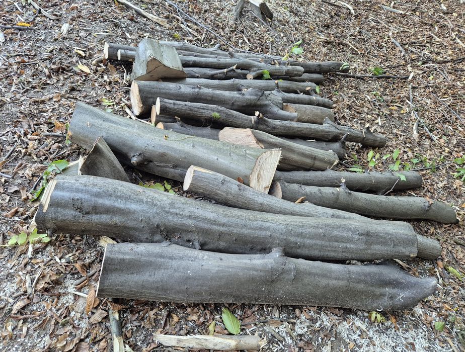 Drewno opałowe mieszane