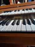 Sprzedam organy yamaha bardzo  bogato wyposażone.