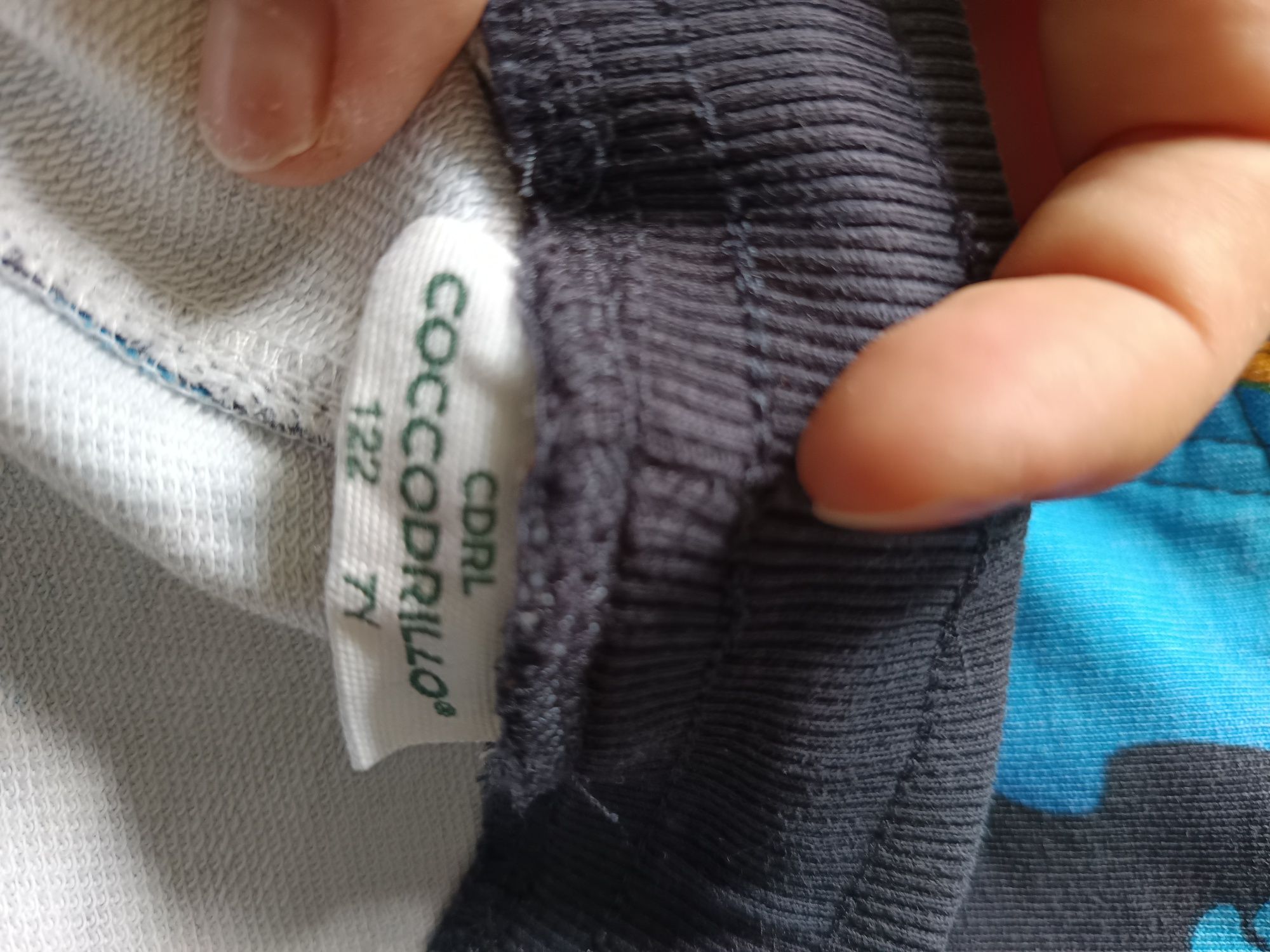 Komplet dresowy chłopięcy Coccodrillo dinozaury