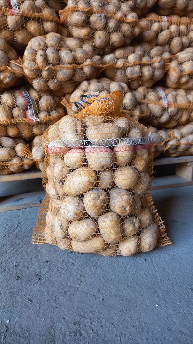 Ziemniaki Denar, ładne