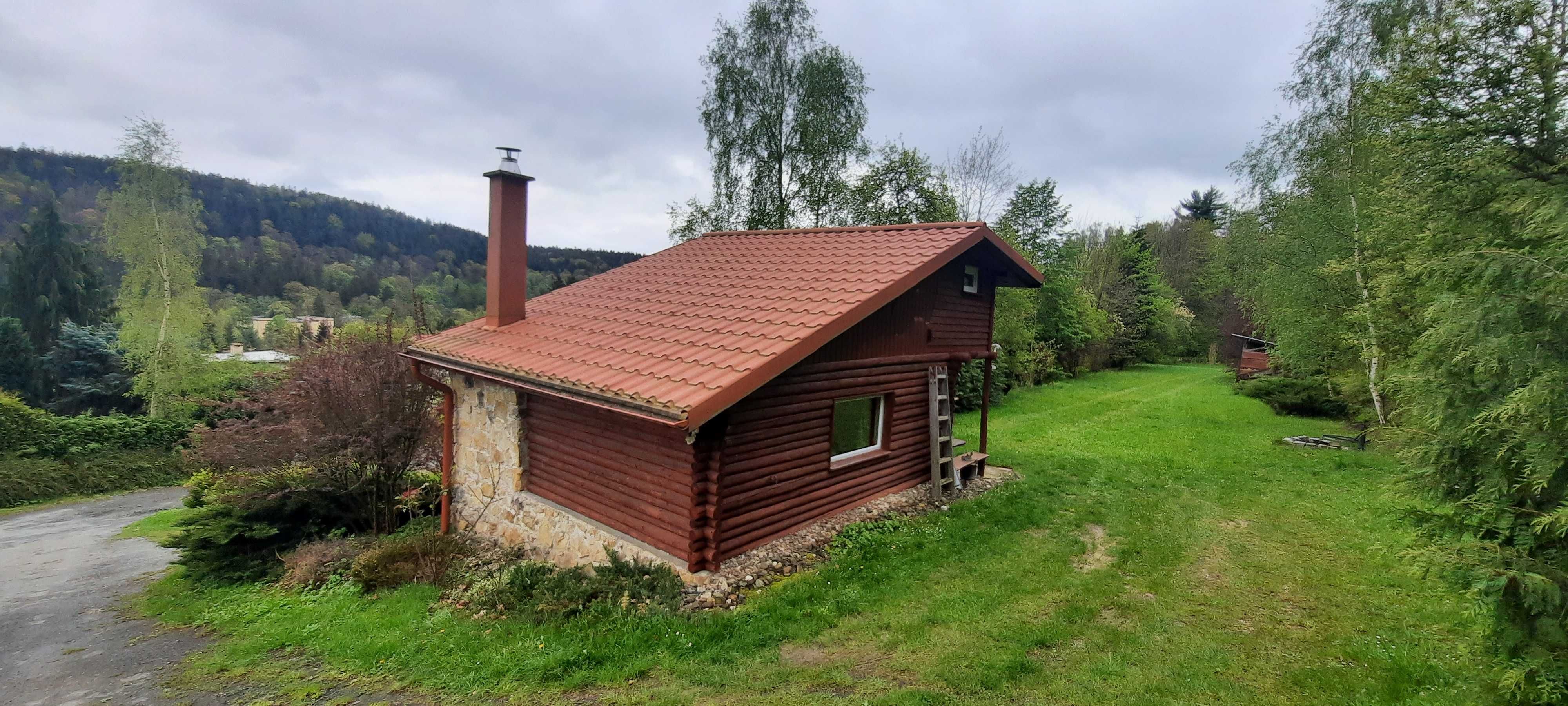 Domek w górach "Zielony dzięcioł", wynajem noclegi