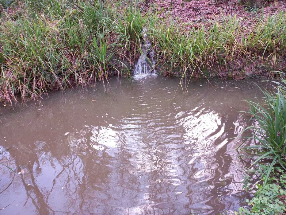 Terreno à venda, Santa Comba Dão, Ecopista do Dão 1