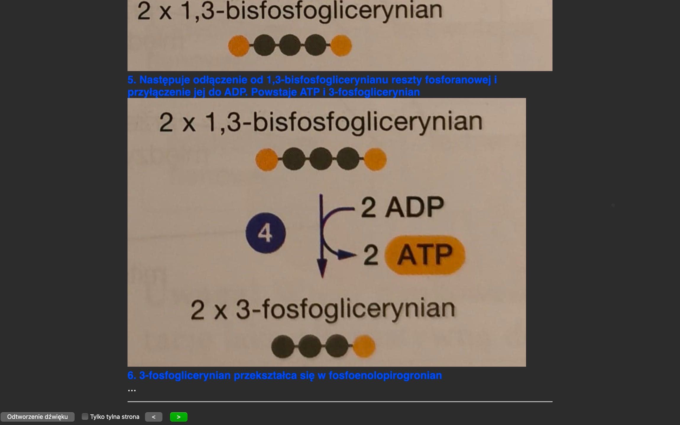 Pakiet fiszek do matury z BIOLOGII ANKI - ze schematami, opisami itd