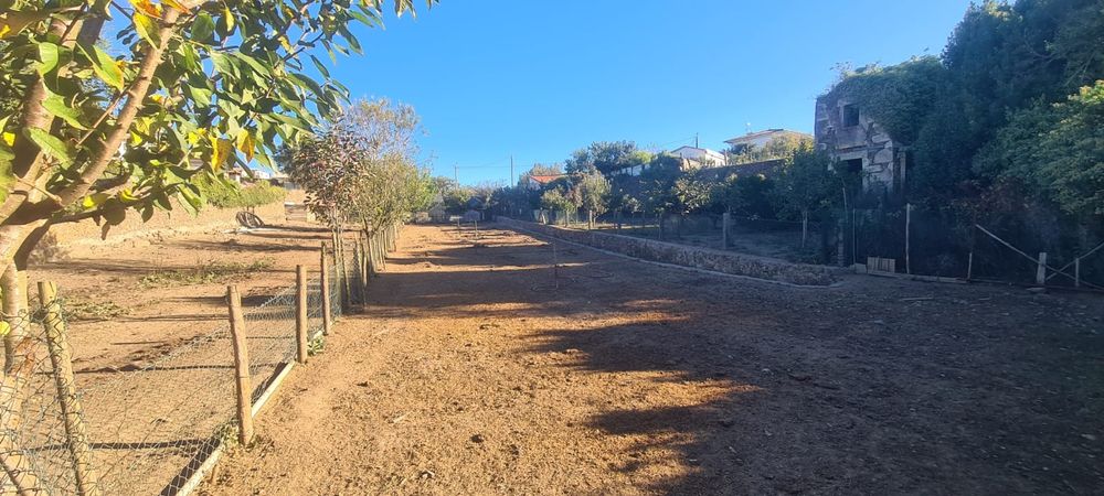 Quintinha em Ribeirão