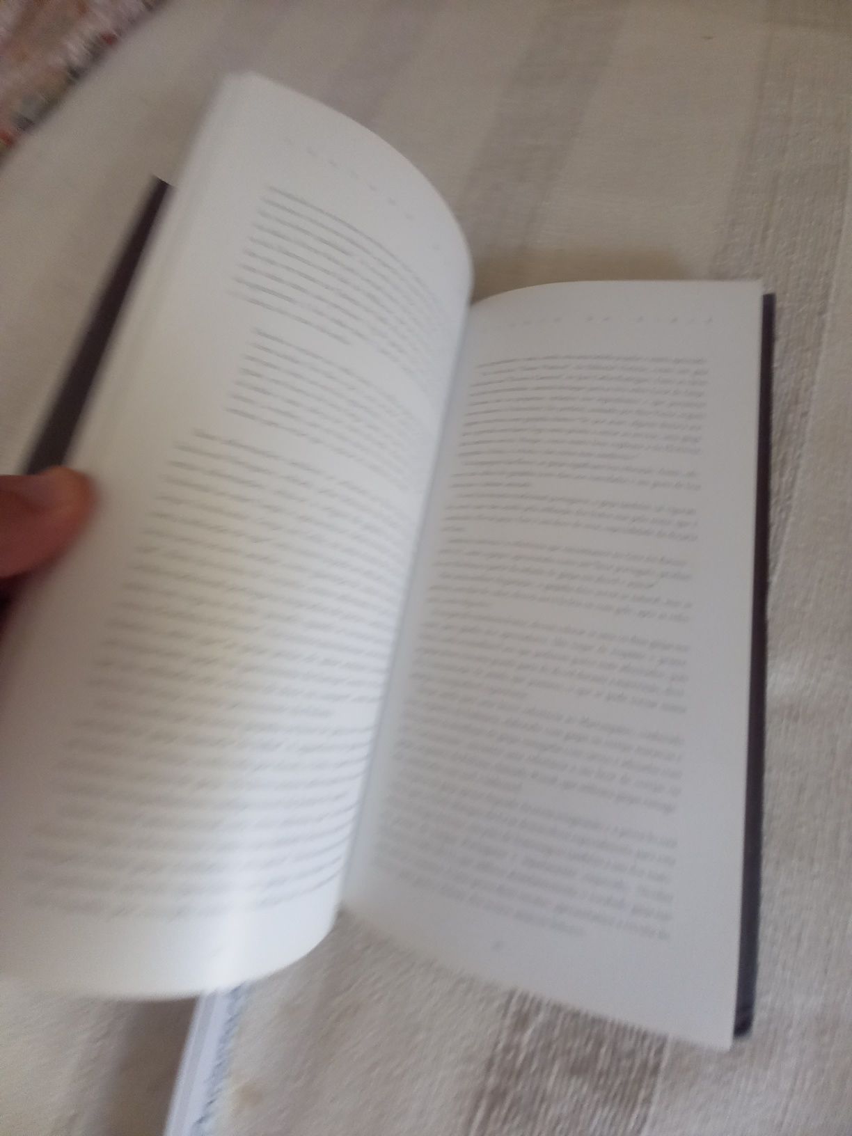 O Elogio da Ginja os licores de Ginja região Oeste