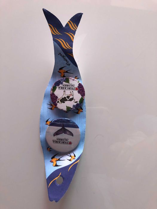 Alfinetes - dois pins