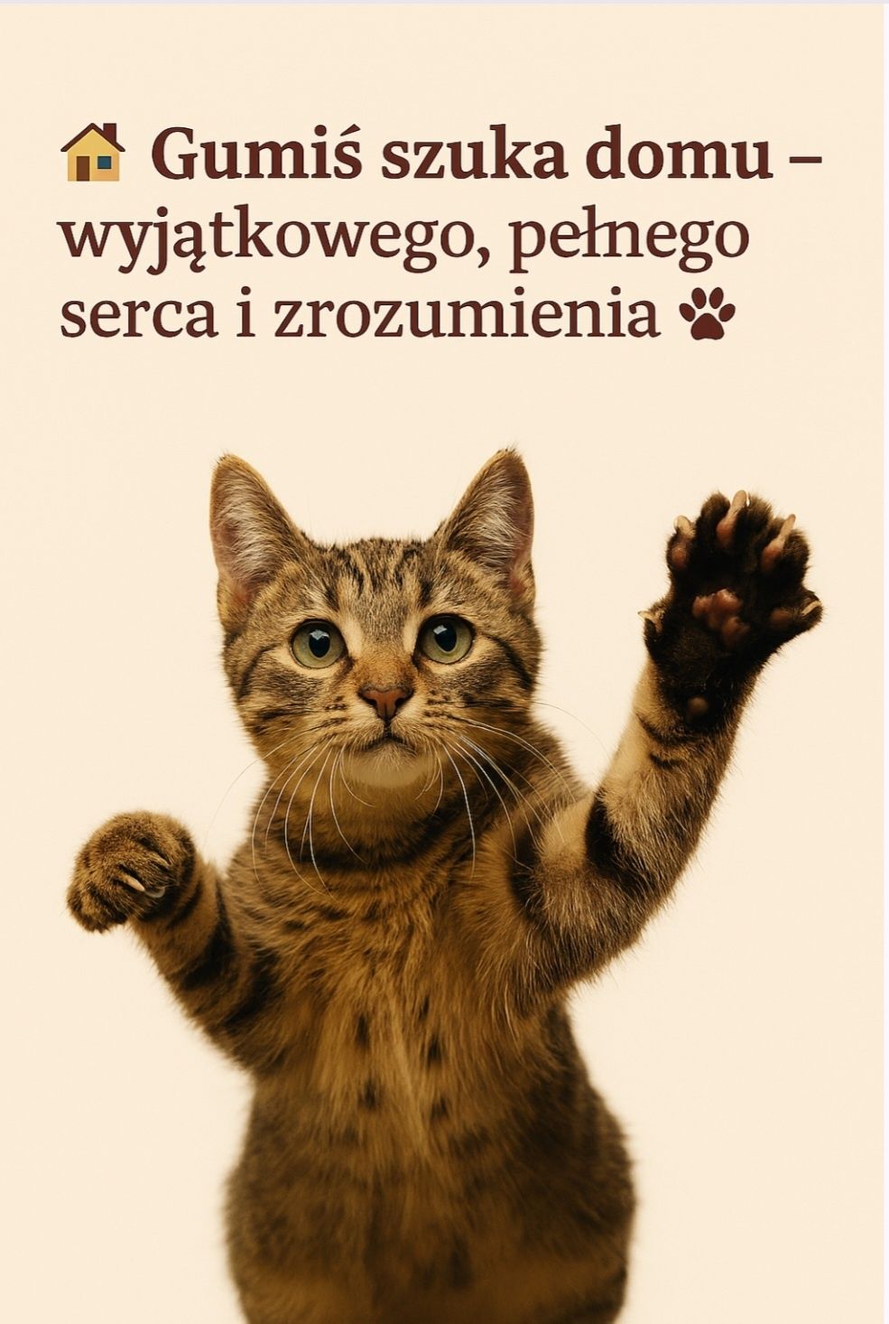 Kot inny niż wszystkie