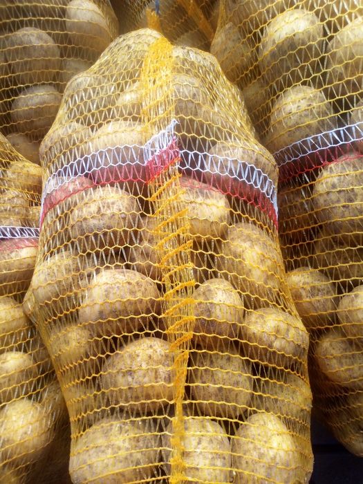 Sprzedam ziemniaki bardzo smaczne