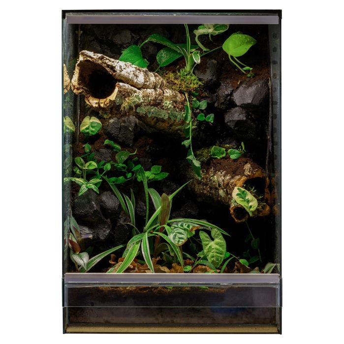 Terrarium tropikalne 40x40x60 gekon