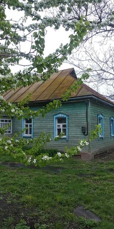 Продаю будинок в Прилуцькому районі село Велика дівиця, Чернігівської