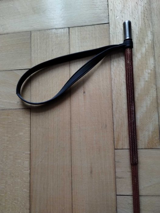 Palkat - pejcz do konia