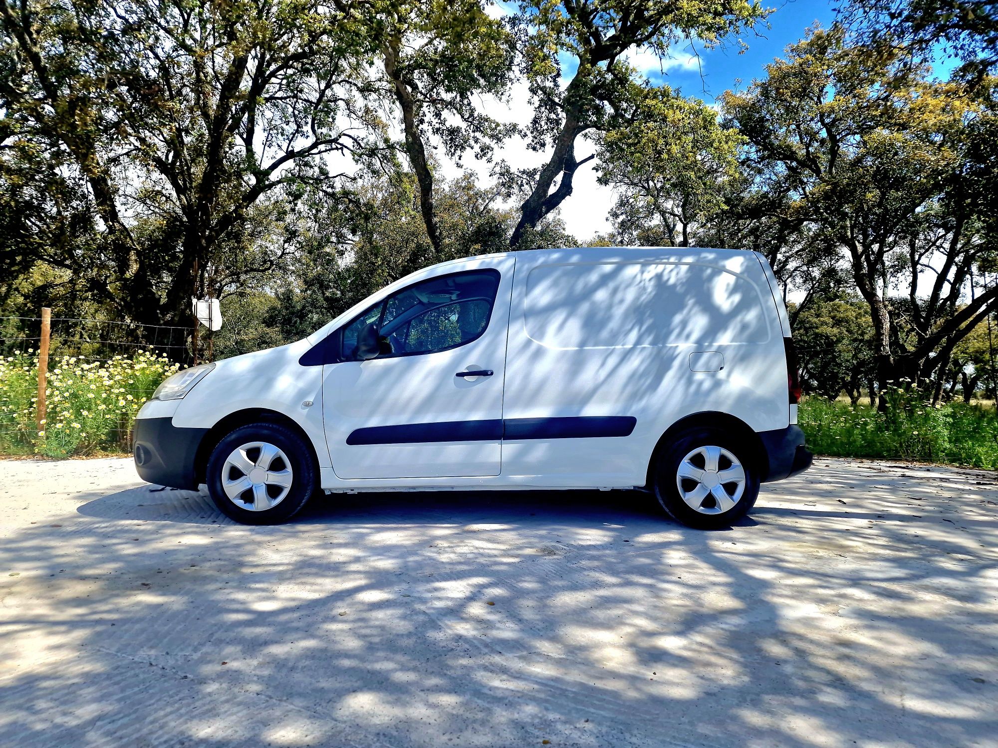 Citroen Berlingo 1.6hdi 90cv