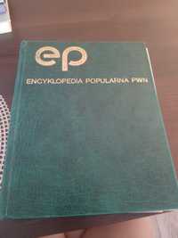 Encyklopedia popularna PWN EP