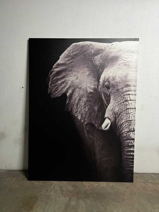 Tela com elefante a P&B
