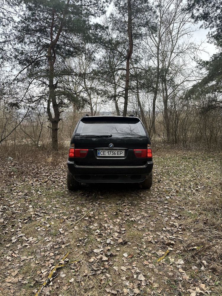 BMW X5 E53 3.0D black