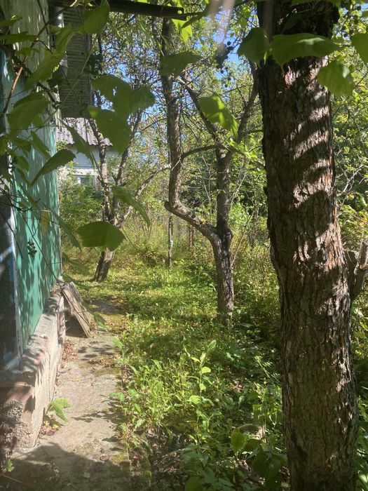 Продаж дачний будинок і прилегла земля