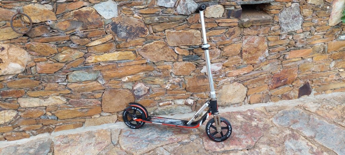 Scooter de rodas grandes RX205