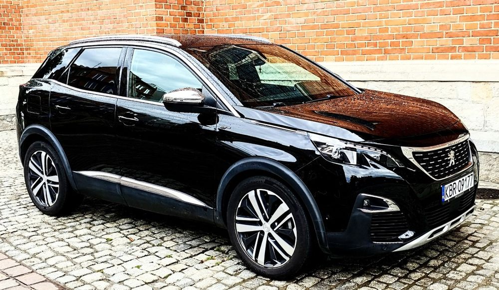 Transport Kierowca VIP Prywatny Szofer