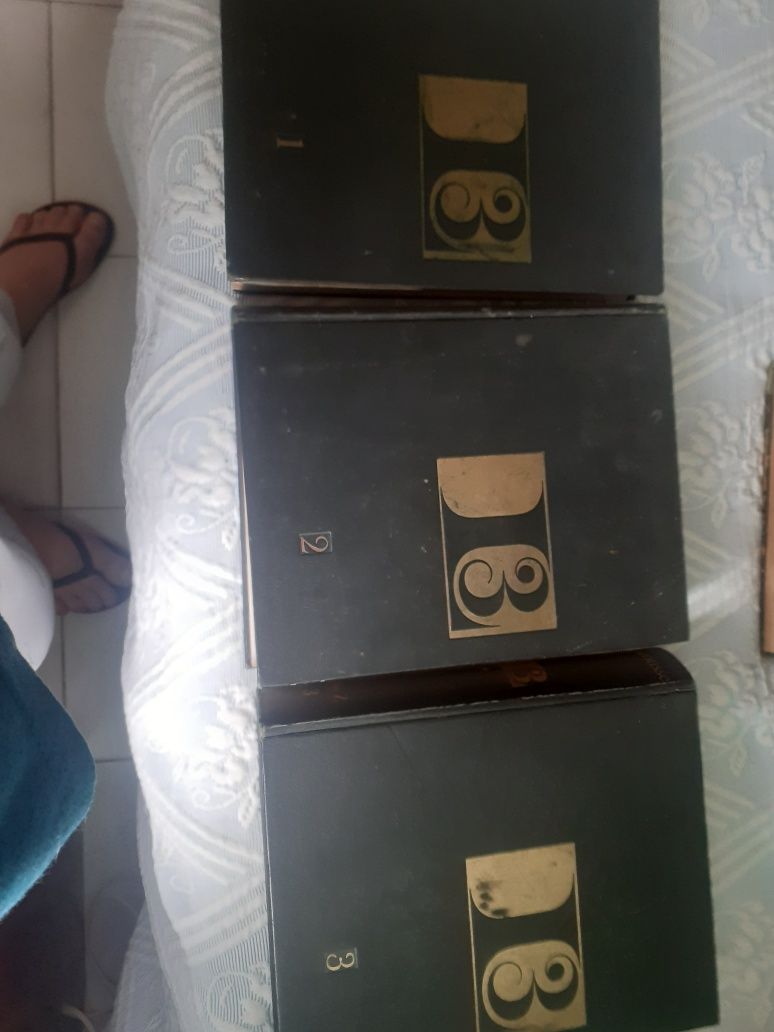 3 Dicionários  em Francês