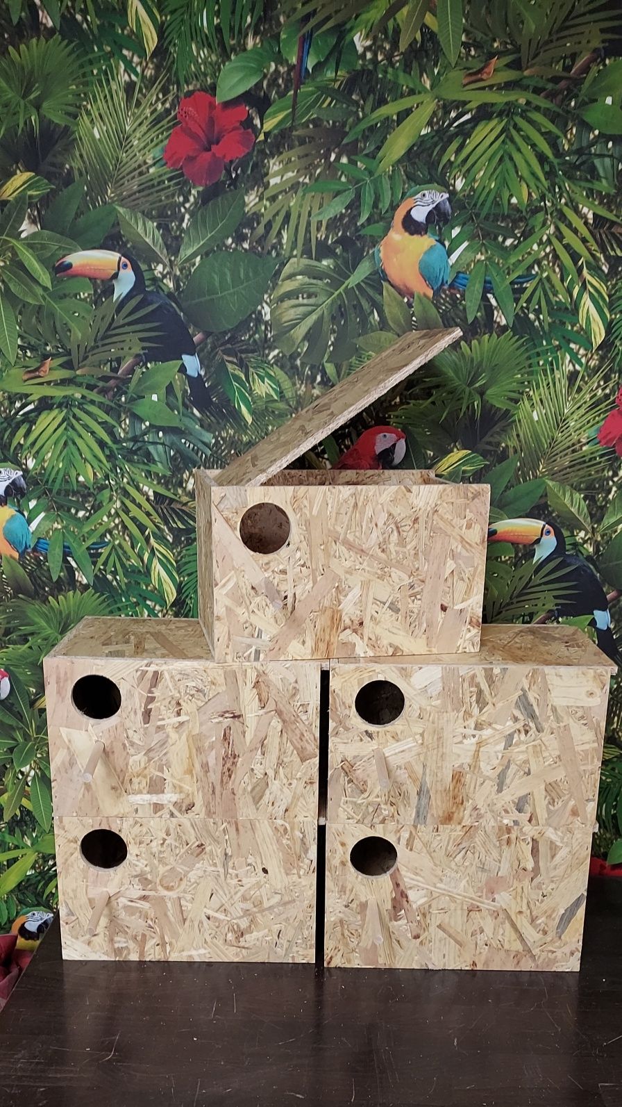 Budki lęgowe dla ptaków średnich papug budka lęgowa domek