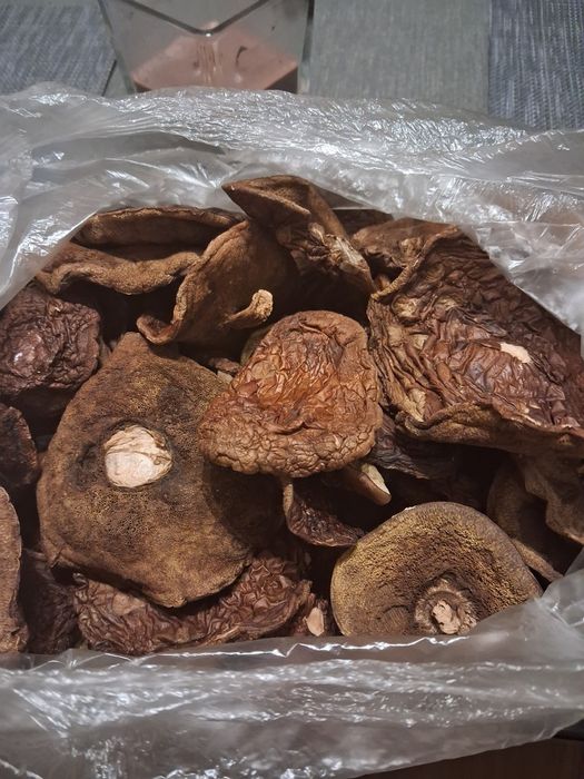 Podgrzybki suszone, kapelusze 600g