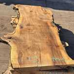 Monolit loft blaty drewniane stół Jesion Wiąz 120x320/350