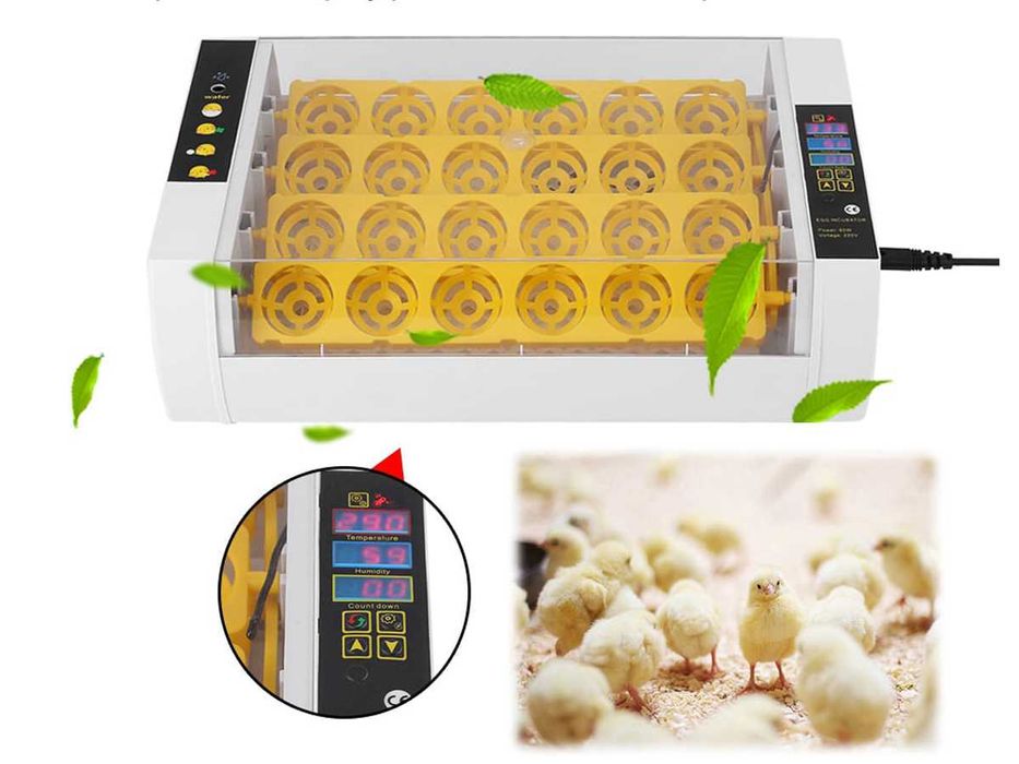 INKUBATOR klujnik automatyczny do 24 JAJ wylęgu na jaja GADÓW I DROBIU