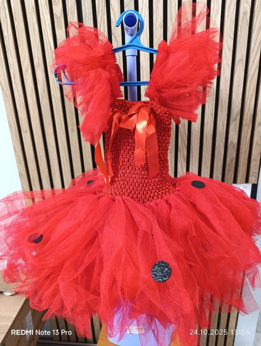 Костюм Леді Баг, сонечко, Божа корівка