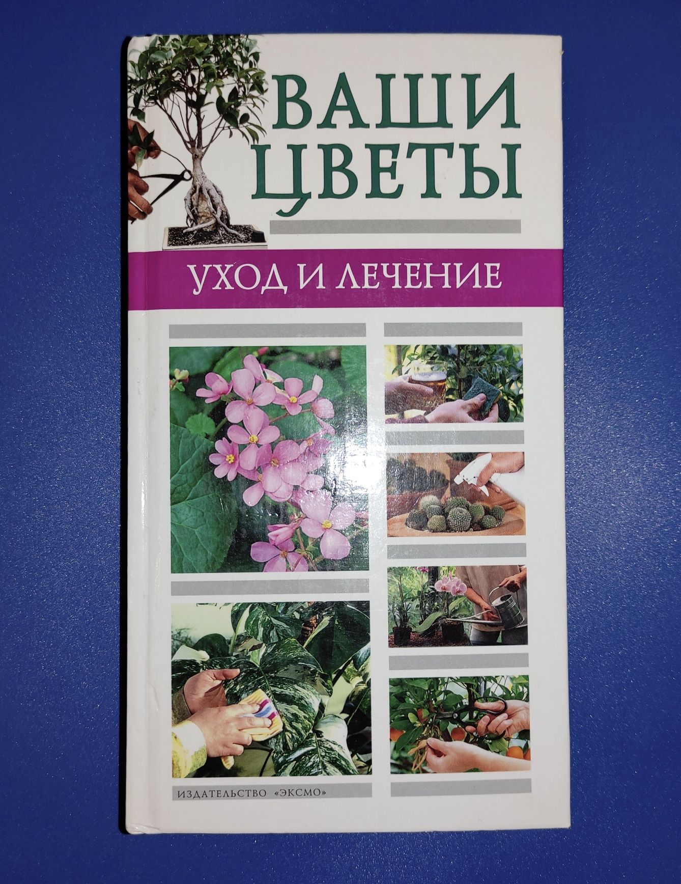 Книга Ваши комнатные цветы. Уход и лечение Татьяна Палеева 2004 Идеал