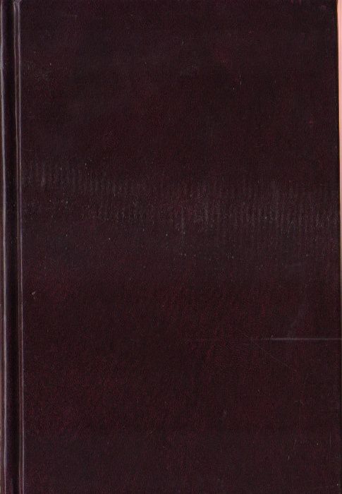 Новый словарь иностранных слов. Словарь новейших иностранных слов.