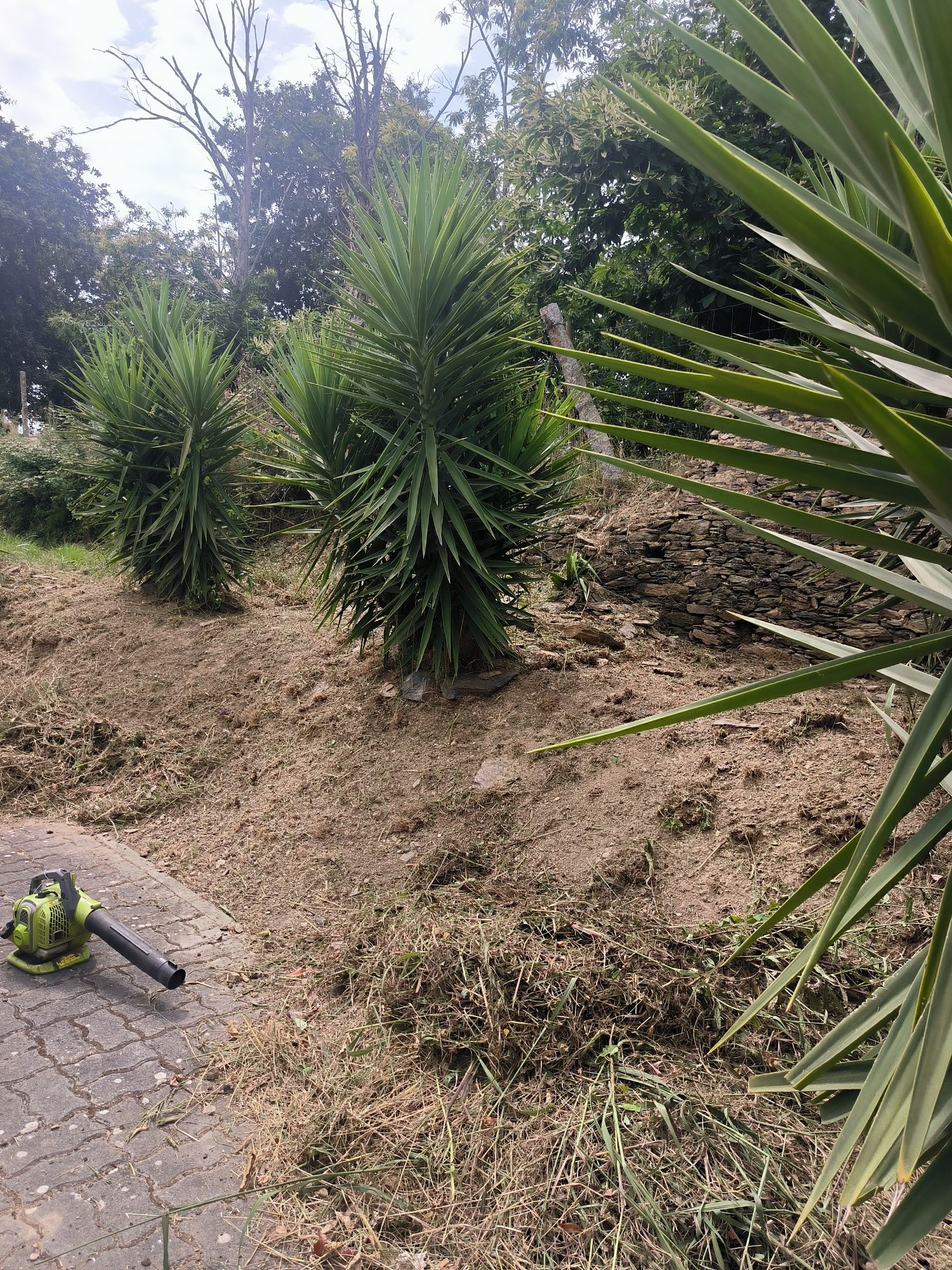 Fasso limpezas de terrenos, jardins,casa etc.. orçamento gratis