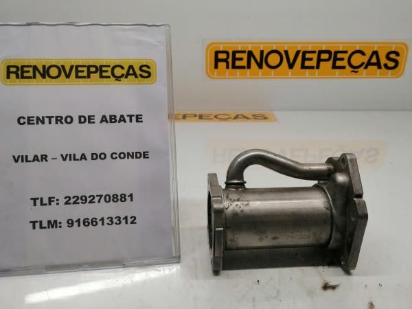 Radiador de gases / EGR RENAULT Clio III (BR0/1, CR0/1)