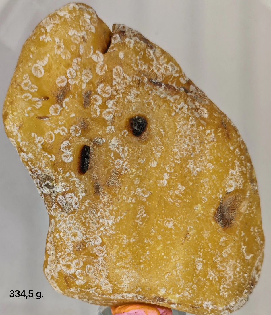 Bursztyn 334 g. bałtycki , bryłka , okaz , kolekcja wiele gram .