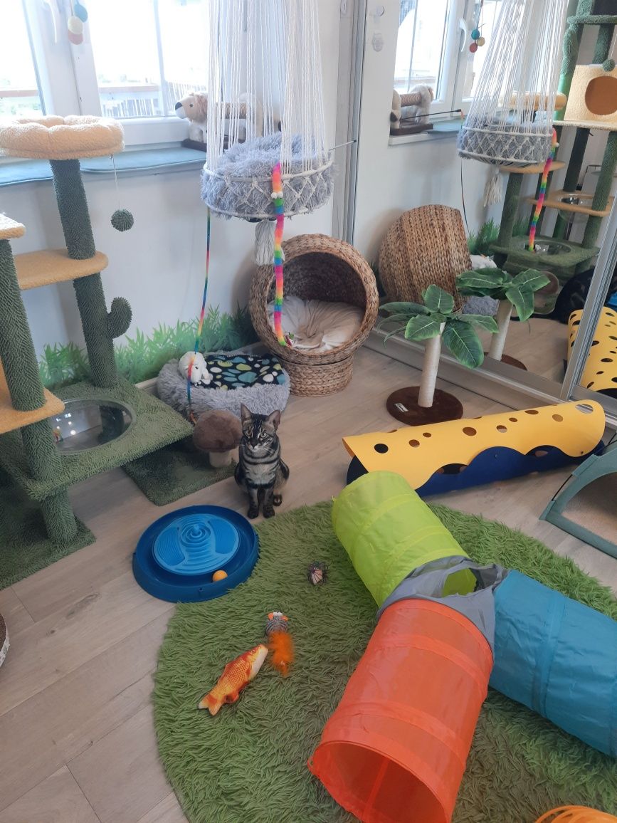 Hotel dla zwierząt Moris/ Domowy Hotelik/ Pet Hotel