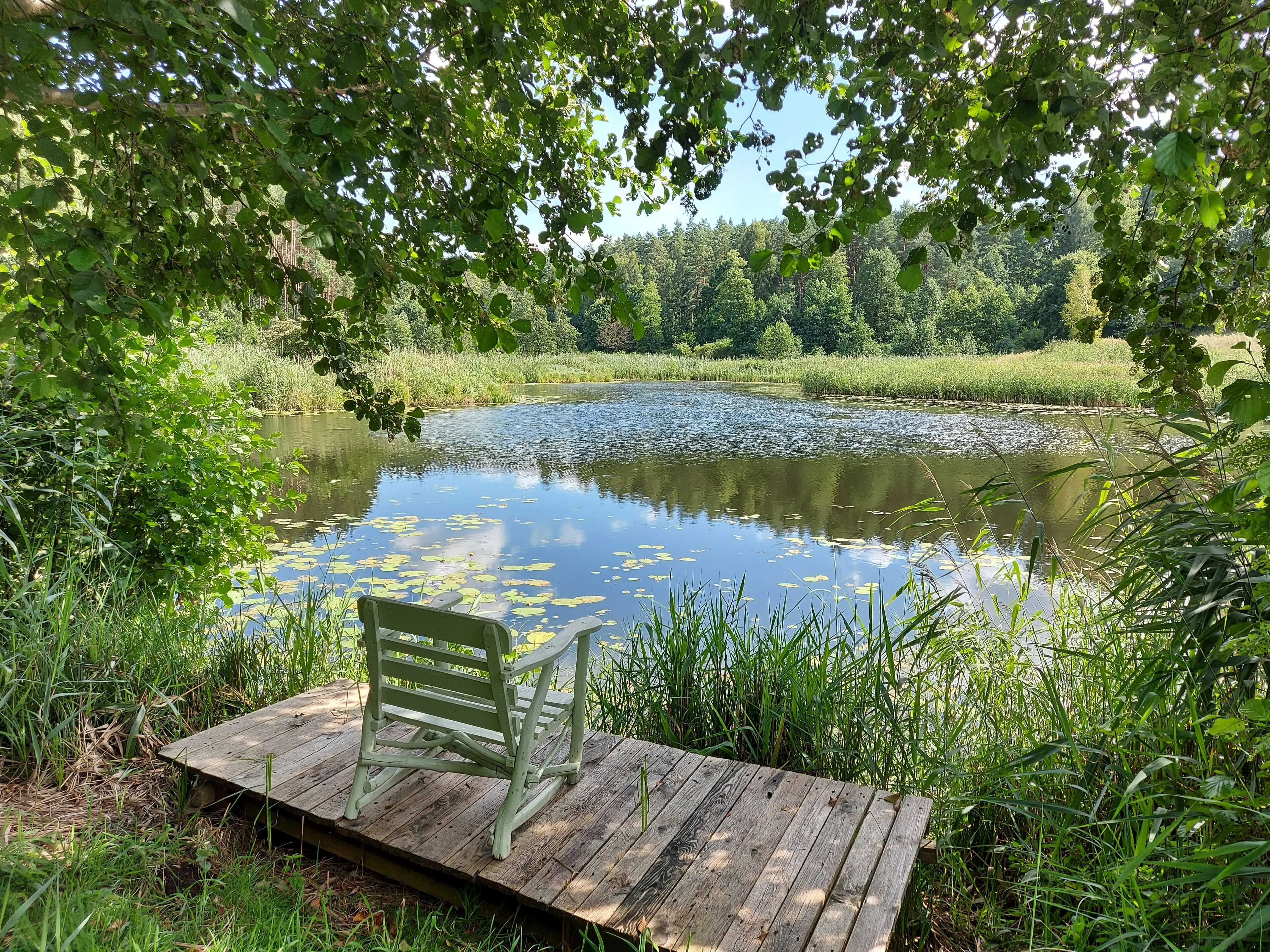 Domek nad jeziorem własna linia brzegowa, pomost, łódka , rower wodny