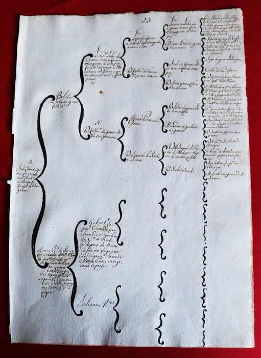 Costados de João Lobo da Gama, Évora 1746